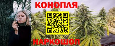 спиды Тара