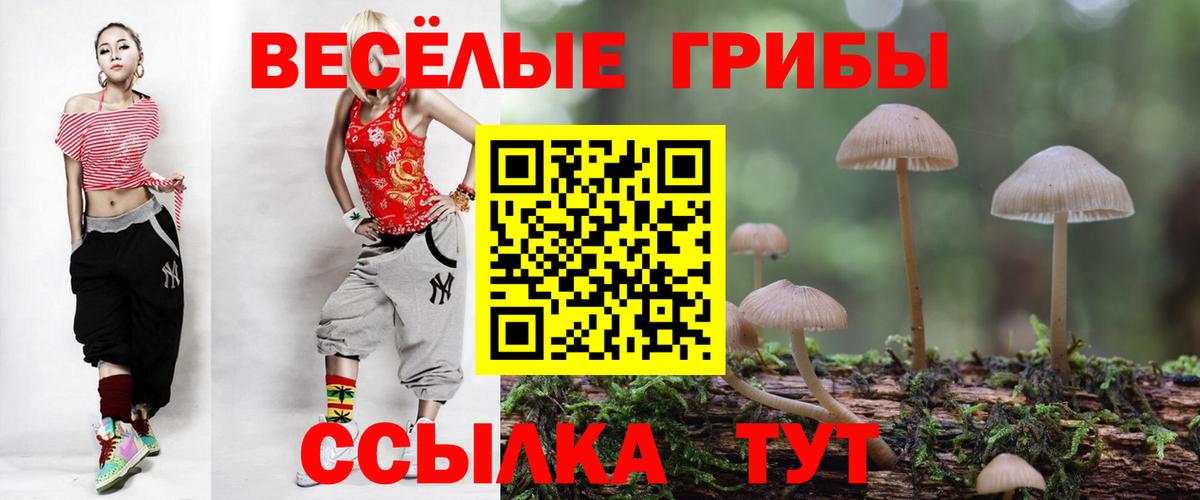 Новодвинск  как найти   Вход с VPN  Галлюциногенные грибы Cubensis 