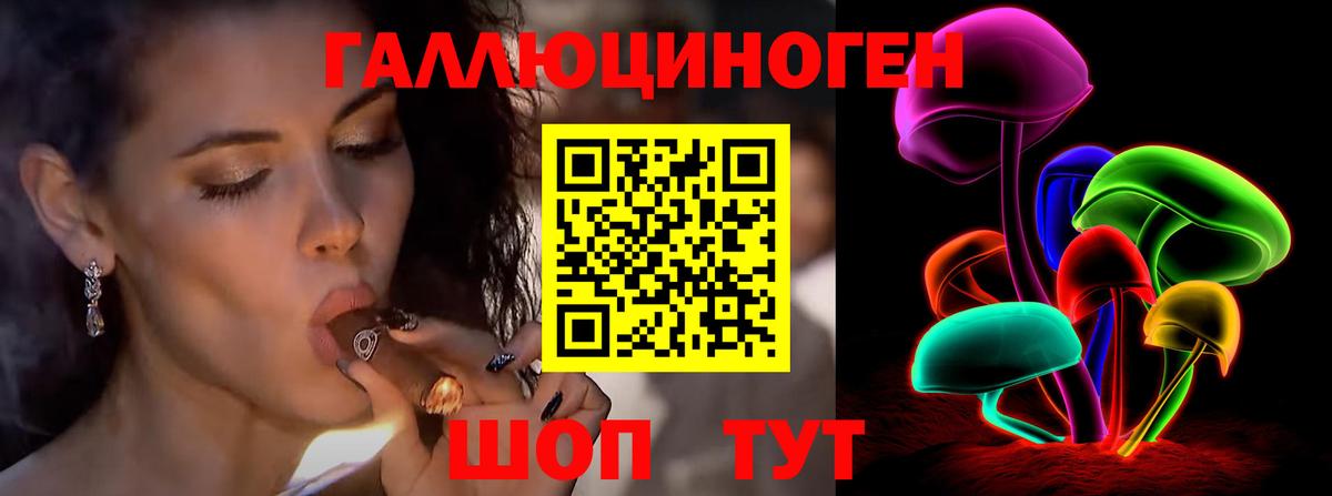 Псилоцибиновые грибы Psilocybine cubensis Новодвинск